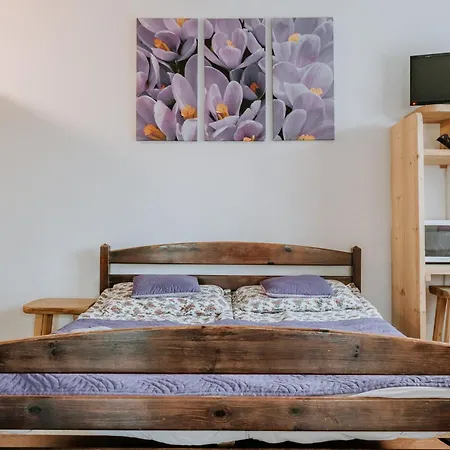 Stella Ewelina I Lukasz 게스트하우스 3*